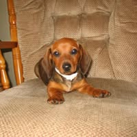 Winnie Goldsmith's profile image