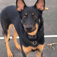 Renae Snow's profile image