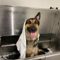 Kelly Coughlin Olson's profile image