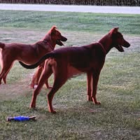Cindy Clark Kersch's profile image