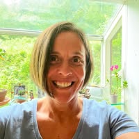 Lisa A. DArcangelo LaPlante's profile image