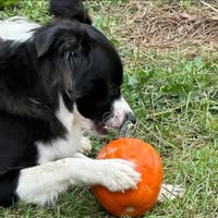 Kim Reed's profile image