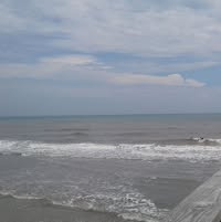 Nancy Hutchinson's profile image