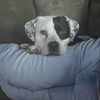 Cindi Conner's profile image