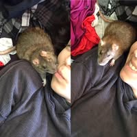 Grace Lemanowicz's profile image