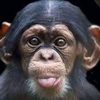 Marylouise Morand Tidd's profile image