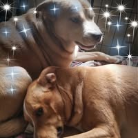 Brian Elia's profile image
