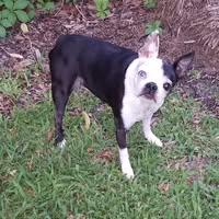 Opal Rae Waters's profile image