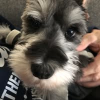 Julie Gabrick's profile image