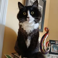 Carolynn Polley O'Donnell's profile image