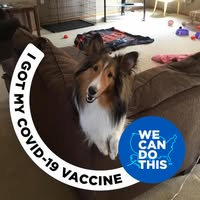 Geanie Norman Thornton's profile image