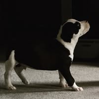 Jeanne Billingslea's profile image