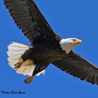 Jessica Watnoski's profile image