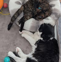 Carrie Boebel's profile image