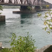 Julie Casal's profile image