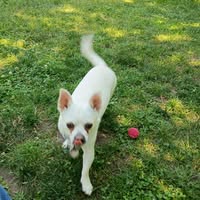 Susan Holden's profile image