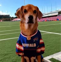 ChickenJones Jones's profile image
