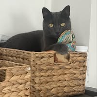 Tracy Kamperdyk Assue's profile image