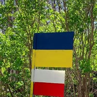 EBie Wood's profile image