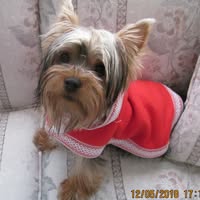 Suzanne E Morrison's profile image