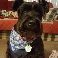 Pamela Lee Selmer's profile image