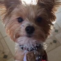 Linda Bendorf's profile image