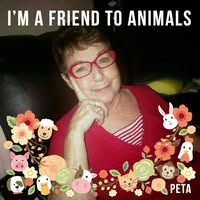 Donna Spohn McLaughlin's profile image