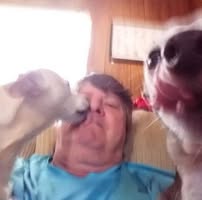 Terry Goodlin's profile image