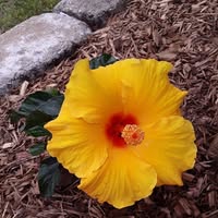 Kaye Holland's profile image