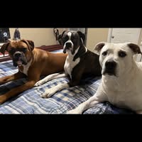 Karmen Hill- Duncan's profile image