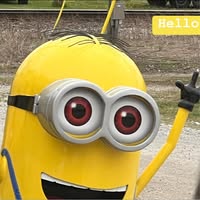 Merry Chesser White's profile image