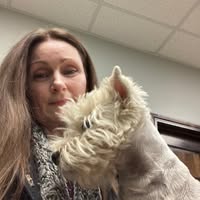 Tamn Harrington's profile image