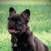 Felicia Followill's profile image
