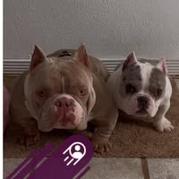 Eddy Sanchez's profile image