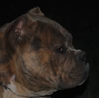 Eric Rivas's profile image