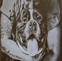 Dusty Ellison's profile image