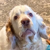 Kathy Paice's profile image