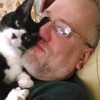 Shawn Flynn's profile image