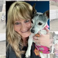 Trish Bisi's profile image