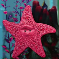 Lynn Pellerano's profile image