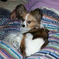 Kelly McGroarty's profile image
