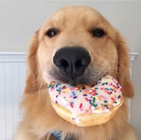 Skylar Sky Wolf's profile image