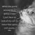 Beth Chronis-Butler's profile image
