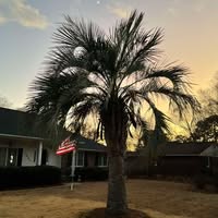 Karen Brensinger's profile image