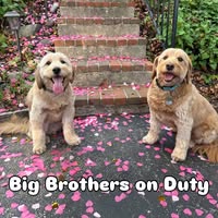 Lisa Tierney Lucino's profile image