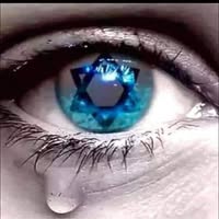 Jill Brockman Sherman's profile image