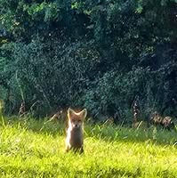 Ginger Bruntrager's profile image