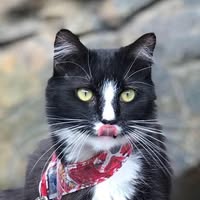 Tami Bieber's profile image