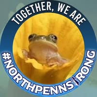 Kimberly Melle Wert's profile image