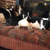 Ann Lou's profile image